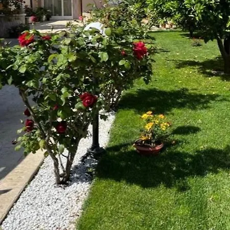 Casa Fiorita Guest house Assemini
